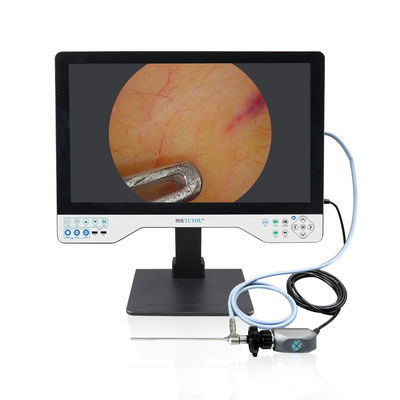 acheter 24 pouces Endoscopie Endoscopie LED Source lumineuse HD Enregistreur de caméra d'endoscopie pour la laparoscopie fabrication en ligne