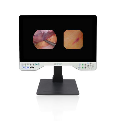 acheter Système d'endoscopie 1080P Full HD Rigid et flexible 24 pouces tout en un appareil photo d'enregistrement vidéo fabrication en ligne