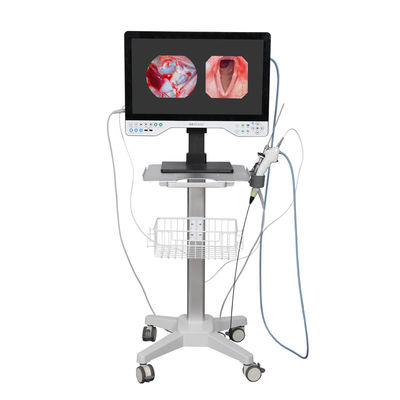 acheter TUYOU 24 pouces FHD tout en un appareil photo endoscopique rigide pour la chirurgie de l'endomètre fabrication en ligne