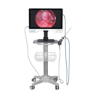 acheter 24 pouces TUYOU Nasopharyngoscope Endoscope Caméra d'enregistrement pour les chirurgies de laparoscopie haute définition fabrication en ligne