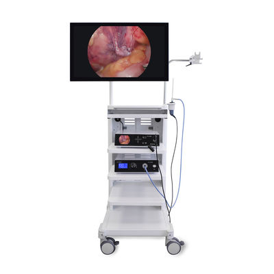 acheter Système de caméra vidéo d'endoscopie médicale haute définition 4K pour la laparoscopie Tour Urologie AWB Supported fabrication en ligne