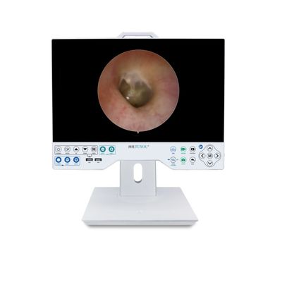 acheter Système de caméra FHD de 15 pouces avec endoscope flexible et rigide compatible avec le disque fabrication en ligne