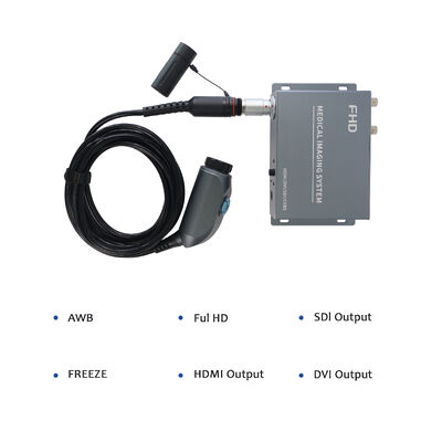 acheter Wireless Portable Endoscope Camera System - High Resolution for ENT/Orthopedics Clinical Examination fabrication en ligne