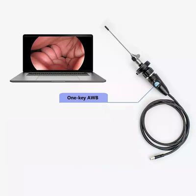 Caméra d'endoscopie USB électrique Full HD CMOS médicale portable pour ENT Otoscope nasal oreille gynécologie laparoscopique
