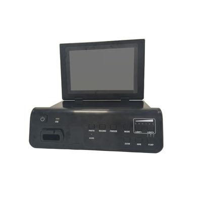 Vidéo électrique vétérinaire Gastroscope Colonoscope Flexible Endoscope Médical