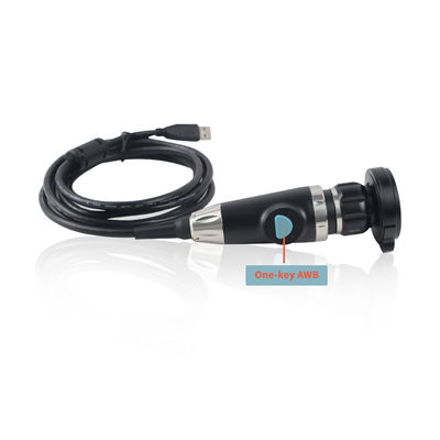 Fabricant Caméra d'endoscope portable USB Pour l'endoscopie ORL Vérification de l'animal vidéo Endoscopie sur ordinateur portable