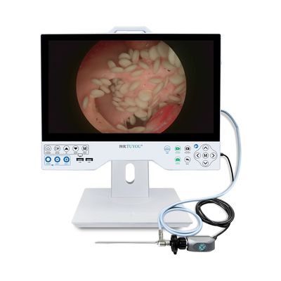Vente à chaud 15,6 pouces Full HD intégré appareil photo endoscopique et système d'affichage pour la salle d'opération de laparoscopie