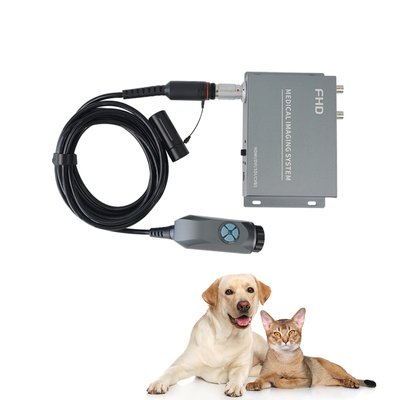 Tuyou 4-Port 1080P Endoscope Converter Box Portable Imagerie médicale ENT Laparoscopie pour animaux de compagnie