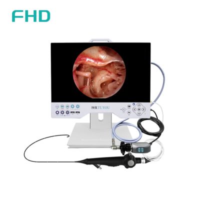 Système de caméra d'endoscopie Full HD tout-en-un 15'' avec source de lumière LED intégrée pour les applications chirurgicales ORL et urologiques