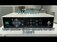 Le nombre d'étoiles est le suivant: