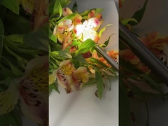 Caméra d'endoscopie médicale 4K TU-D100A avec lumière LED de 100 W pour ORL et gynécologie