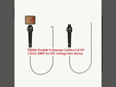 Flexible Portable Endoscope Camera Full HD 3,5 pouces 1080P pour ENT Urologie depuis l'usine
