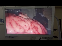 Les États membres doivent fournir les informations suivantes: